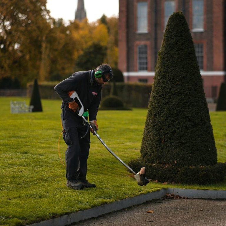 Entretien Espace vert marseille
